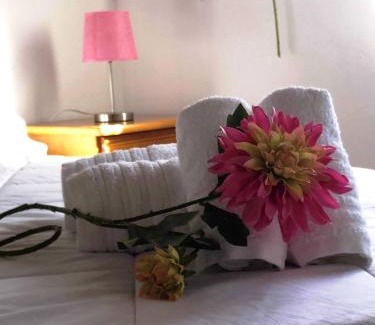 Santa Maria dos Olivais Casa | Quinta da Ti Júlia