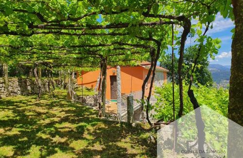 Bico Casa | Quinta da Vinagra