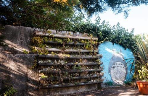 Sao Roque do Pico Casa | Quinta das Almas