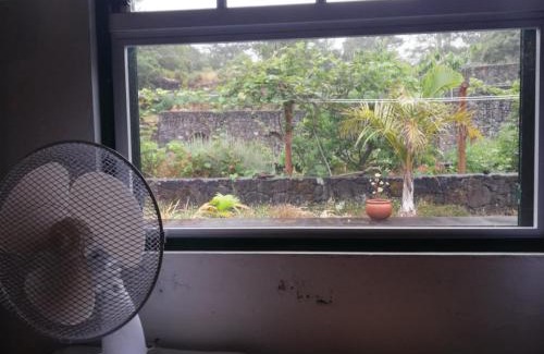 Sao Roque do Pico Otro | Quinta das Palmeiras, Room 2