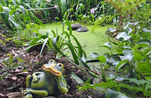 Fenais da Luz Casa | Quinta das rãs