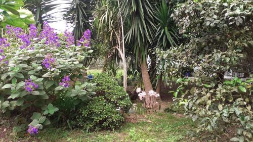 Fenais da Luz Casa | Quinta das rãs