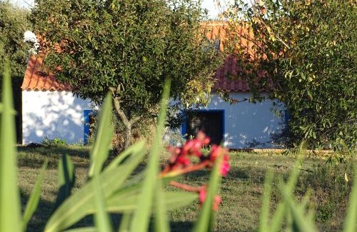 Cercal Casa | QUINTA DAS TEIMOSAS by Stay in Alentejo