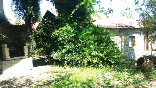 Penafiel Casa | Quinta De Abol De Baixo