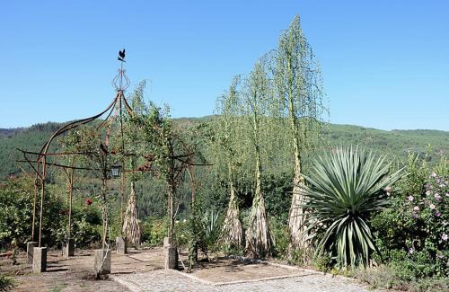 Ponte de Lima Casa | Quinta de Albergaria