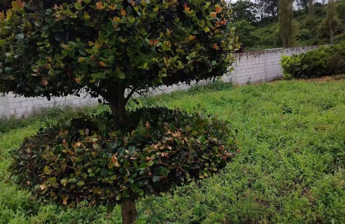 San Antonio Casa | Quinta de campo