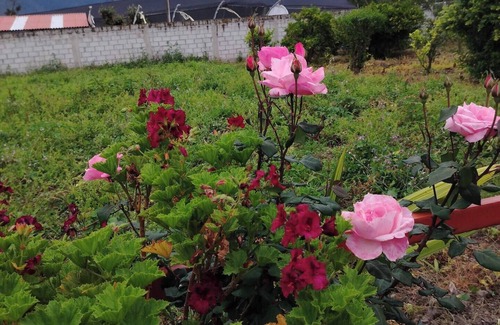 San Antonio Casa | Quinta de campo