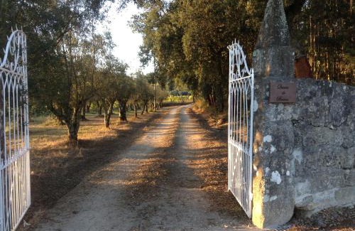 Barroselas Casa | Quinta do Bravio