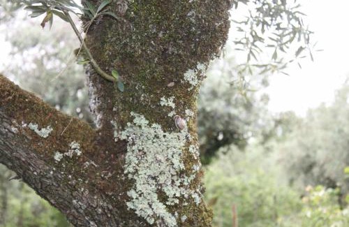 Aguas Belas Apartamento | Quinta do Casal da Bica