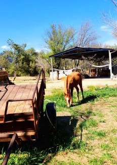 San Francisco de los Romos Otro | Quinta el cocula cabañas y camping