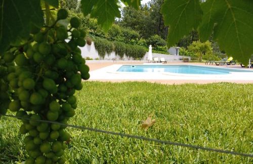 Provesende Casa | Quinta Manhas Douro