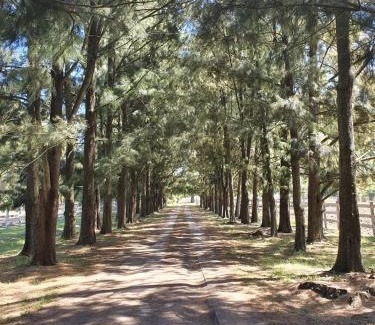 Lobos Casa | Quinta Maria