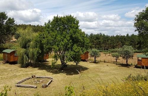 Serta Otro | Quinta Portugo