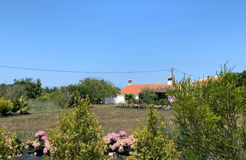 Cabeco de Aguia Casa | Quinta Samor