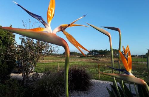 Cabeco de Aguia Casa | Quinta Samor