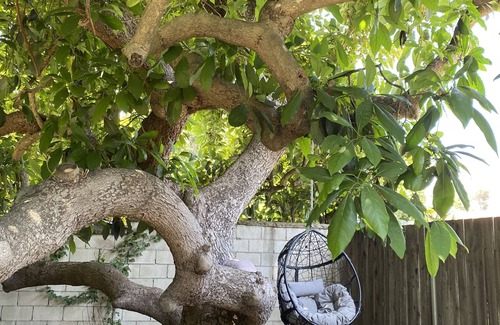Montecito Cabaña | Quintessential Montecito Cottage