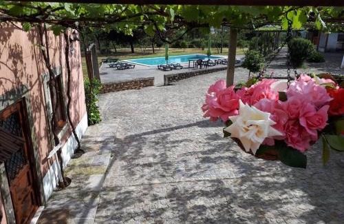 Oliveira De Azemeis Casa | Quintinha de Santiago