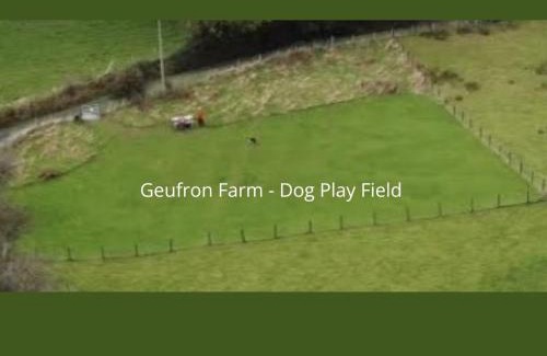 Bryn-crug Casa | Quirky Cabin with On Site Dog Field