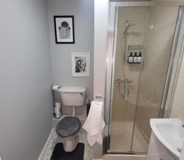 Tralee Apartamento | Quirky Tiny Apartment in Kerry