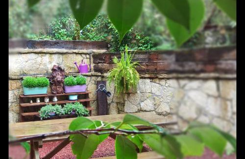 Llonin Casa | Río Aliso