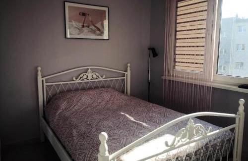 Klodzko Miasto Apartamento | Różowe sny