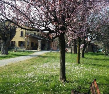 Scarzara Cama Y Desayuno | R&B Albero Cavo Parma