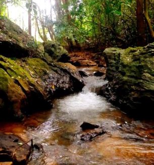 Madikeri Casa | R-Heavens Homestay