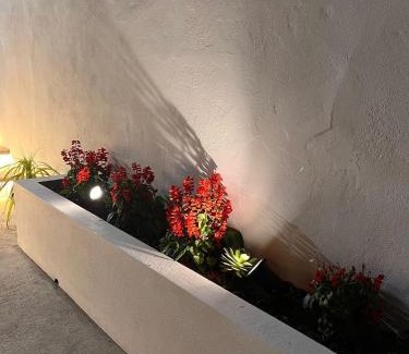 Povoacao Casa | Raízes AL