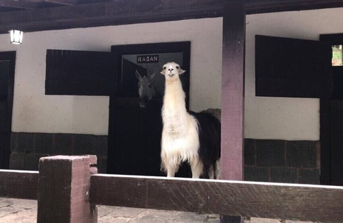 Petropolis Cabaña | Radachi Stables