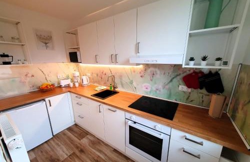 Schwerin Apartamento | radfreundliches Wohlfühl-Apartment mit Terrasse und Parkplatz - FeWo Woody