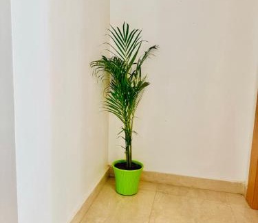 Haraiya Casa | Raghuvar Residency