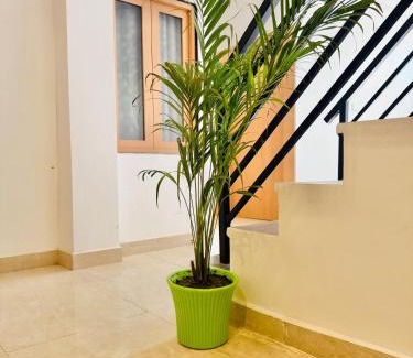 Haraiya Casa | Raghuvar Residency
