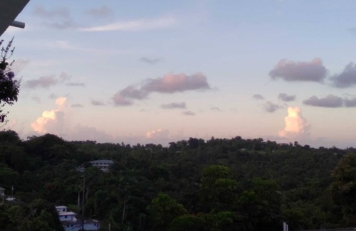Guzman Abajo Casa | Rain forest view. Closed to rivers. 20 minutes to Luquillo beaches