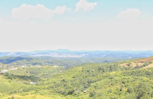 Da Lat Apartamento | Rainbow Homestay Cầu Đất