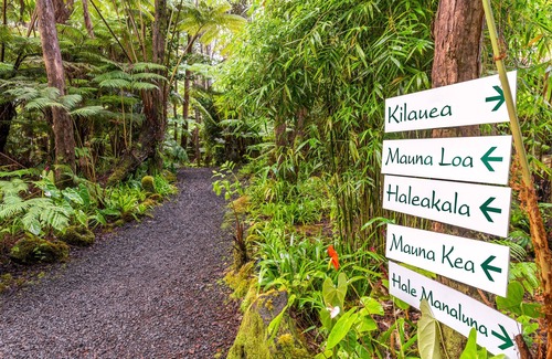 Volcano Cama Y Desayuno | Rainforest Retreat in Volcano Village
