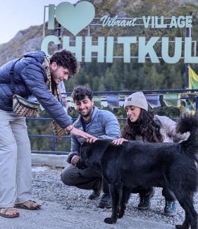 Chitkul Casa | Raj guest House