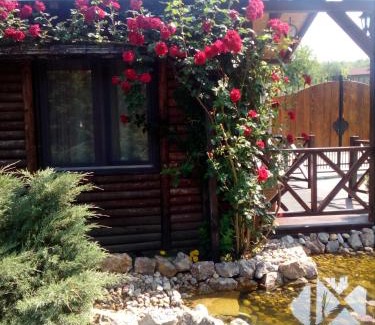 Vrdnik Cabina | Rajski vrt