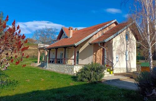 Mladenovac Casa | Ramonda house