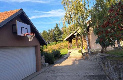 Mladenovac Casa | Ramonda house