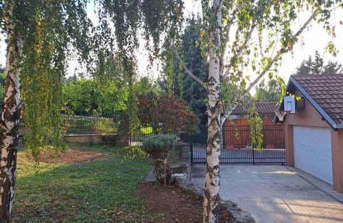 Mladenovac Casa | Ramonda house