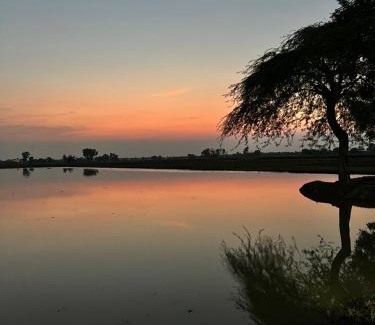 Punjab Complejo | Rana Jee farmhouse