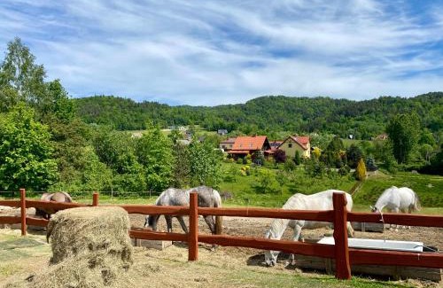 gmina odygowice Cabina | Rancho-Bierna