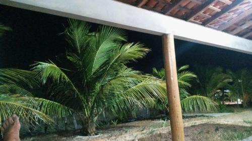 Canarias Cama Y Desayuno | Rancho Caburé