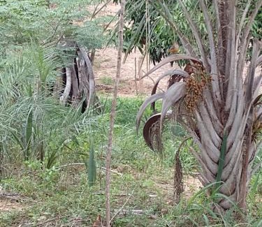 Abaira Casa | Rancho de montanha