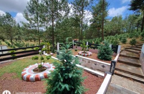 Villa Aldama Otro | Rancho El Plantel