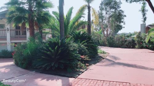 Fairbanks Ranch Casa | Rancho Garden Home