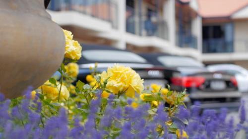 Merivale Apartamento | Randolph Motel Apartments