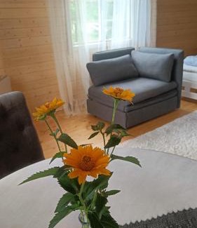 Suuresadama Apartamento | Rangi Suvemaja