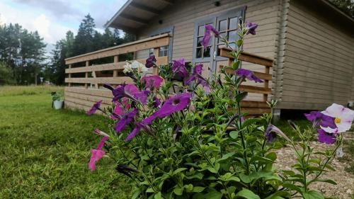 Suuresadama Apartamento | Rangi Suvemaja