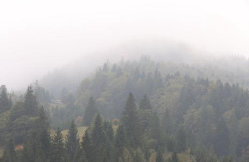 Campulung Moldovenesc Hotel | Rarău Retreat